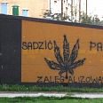 "Sadzić..." - miniatura zdjęcia.