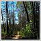 Miniaturka zdjęcia "Polskie dróżki"
